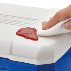 Coleman Performance 5QT Personal Cooler 11 Coleman Performance 5QT Personal Cooler -Camping Promotion Shop k46f35c6c2c6dd2c6e9c46849a7f097f7