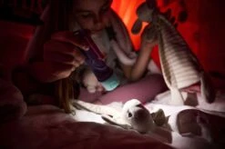 Ledlenser KidBEAM4 LED Hand Torch (Purple) 15 Ledlenser KidBEAM4 LED Hand Torch (Purple) -Camping Promotion Shop k59e29570618b7729d370bdca435a3048