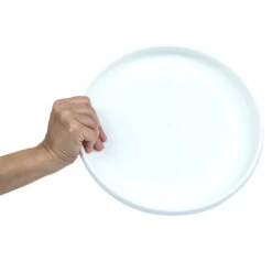 Plastic Ultimate Disc - Surf Illustration -Camping Promotion Shop k6abadd68bd21e02f4eeb8232e0eaab0c