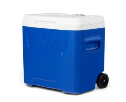 IGLOO Laguna 28QT Wheeled Cool Box Blue 9 IGLOO Laguna 28QT Wheeled Cool Box Blue -Camping Promotion Shop ka1ef123c4d1598c12934a9c0f692bdf2