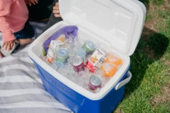 IGLOO Laguna 28QT Cool Box Red 20 IGLOO Laguna 28QT Cool Box Red -Camping Promotion Shop kb309529a331bee3c9613a50999a7df51